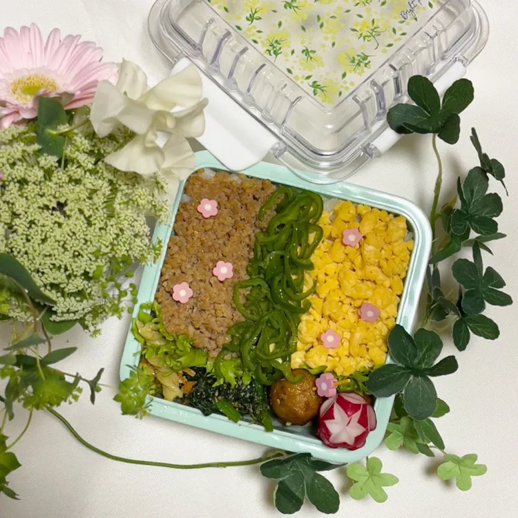 2/28❤︎主人の三色そぼろ弁当🌱✨

＊ 鶏そぼろ
＊ たまごそぼろ
＊ ピーマン炒め
＊ つくね|Makinsさん