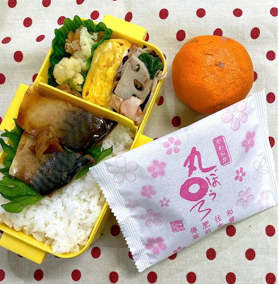 2月28日 娘のみの お弁当🍱|sakuramochiさん