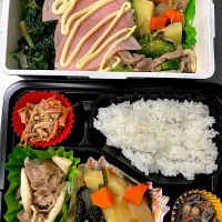 Snapdishの料理写真:肉じゃが弁当🍱ハム🍱|きっきー🥰さん