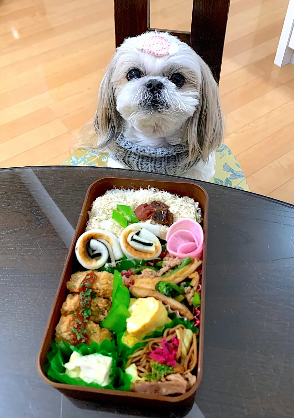 3月1日　プクパパお弁当🍱|プクママさん