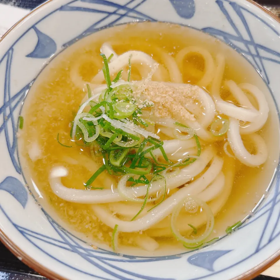 お昼ご飯|まめさん