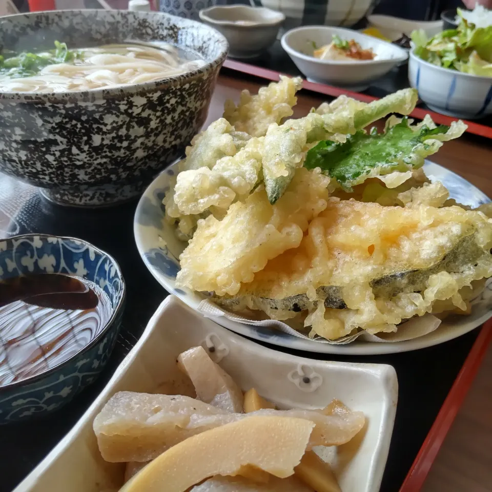 ひの木屋うどんのやさい天ぷらうどん|いりごまさん