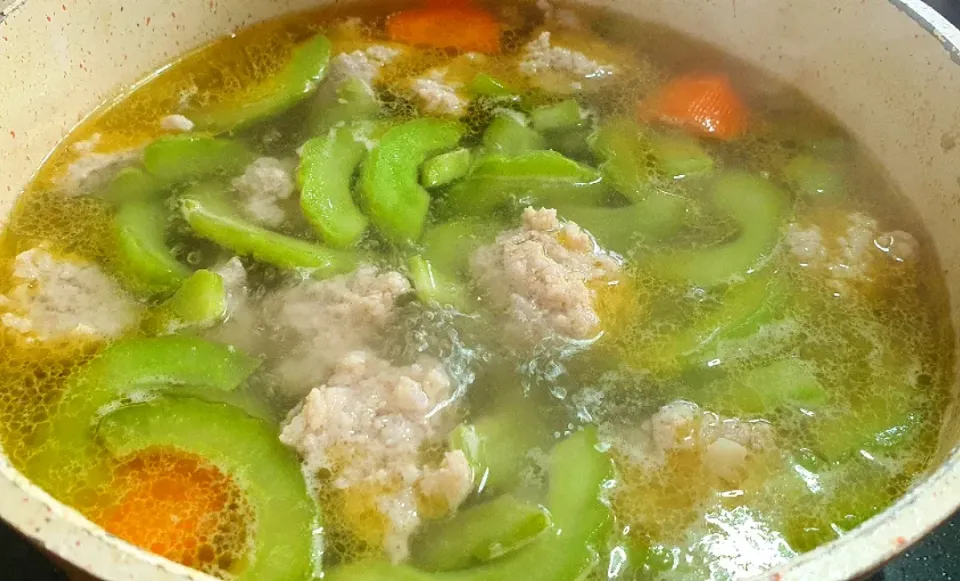 Snapdishの料理写真:Bittergourd chicken soup with minced pork and carrot 🥰😘|🌷lynnlicious🌷さん