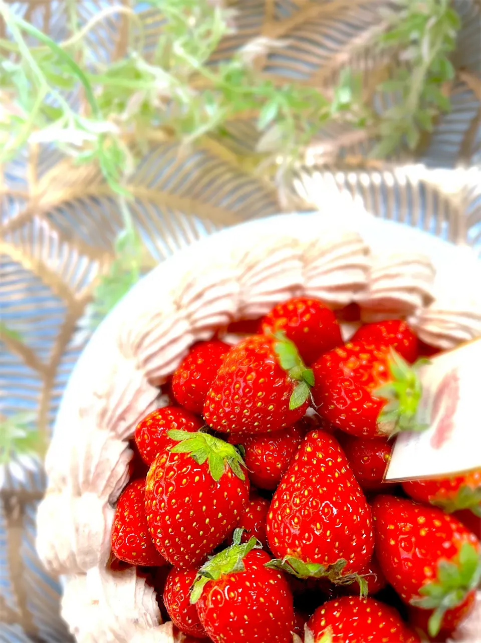 🍓🍓苺のチョコレートケーキ🍓🍓|U・x・Uchokoさん