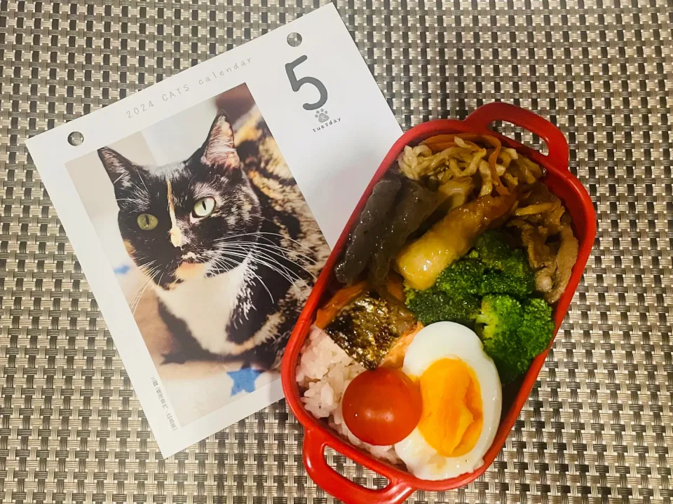 Snapdishの料理写真:20240305🍱今日の自分弁当🍱|akiyo22さん