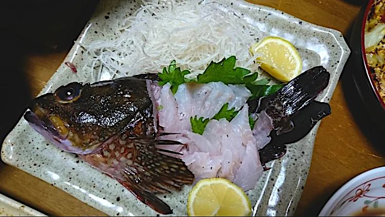 裏の港で釣ったゴウチ（カサゴ）を活き〆にして姿造りに（活き造りではありません）|🐈⸒⸒⸒⸒つるのダンス🐈🐾さん