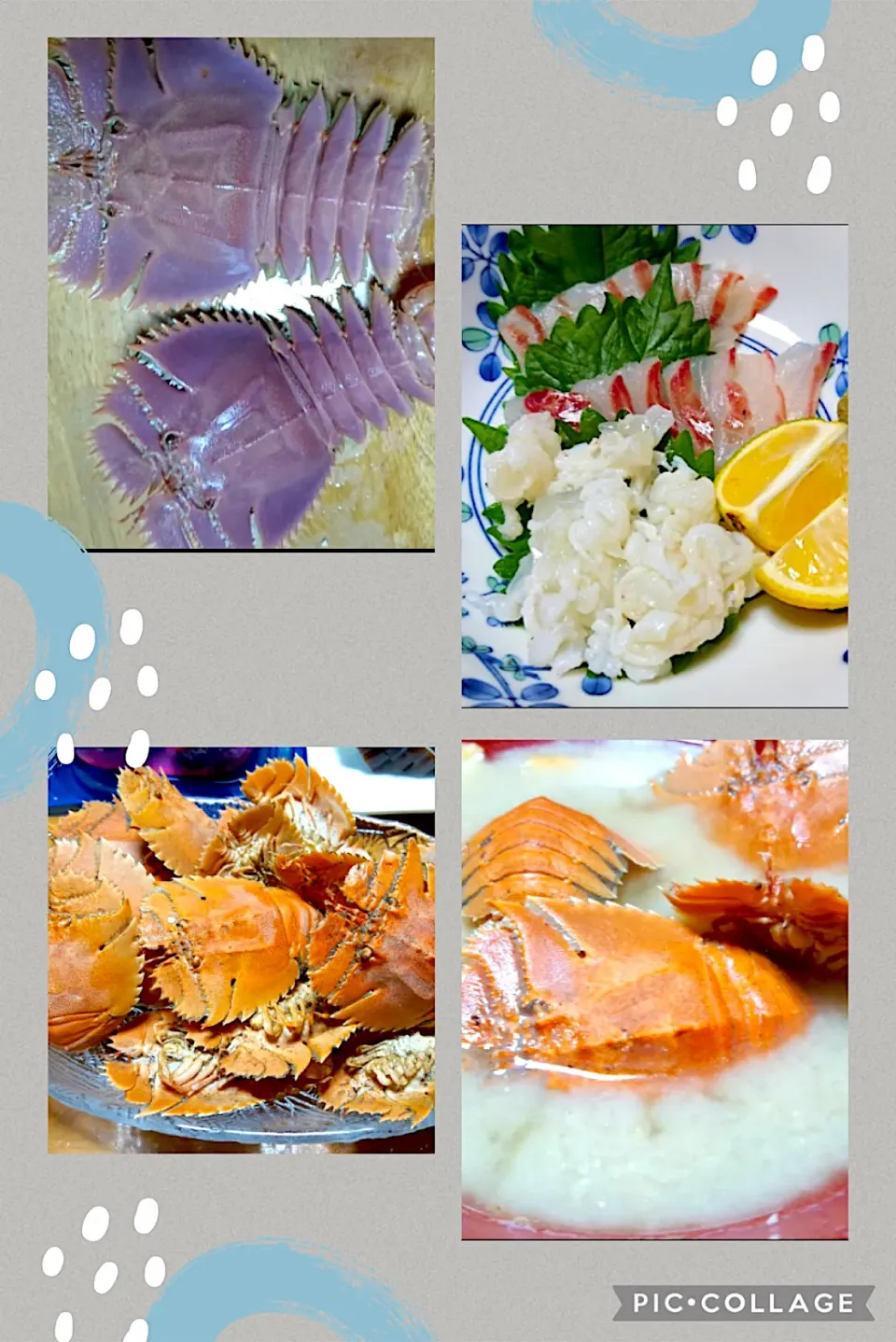 Snapdishの料理写真:団扇エビ🦐の造りとイサキの造りの盛り合わせ|🐈⸒⸒⸒⸒つるのダンス🐈🐾さん