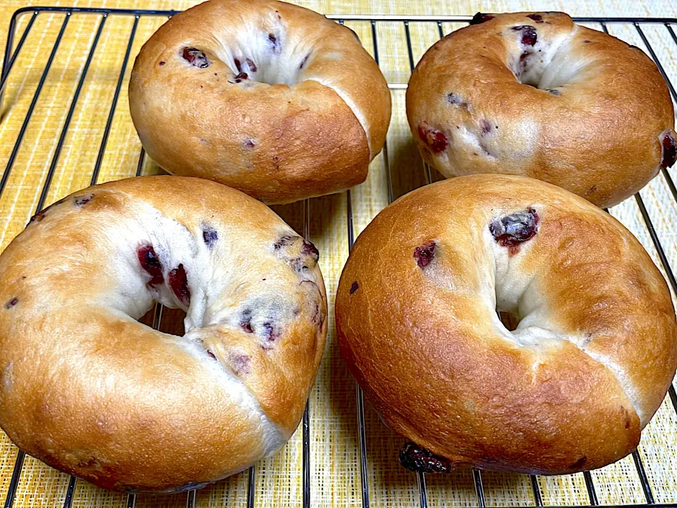 クリームチーズとクランベリー🥯|モチュさん