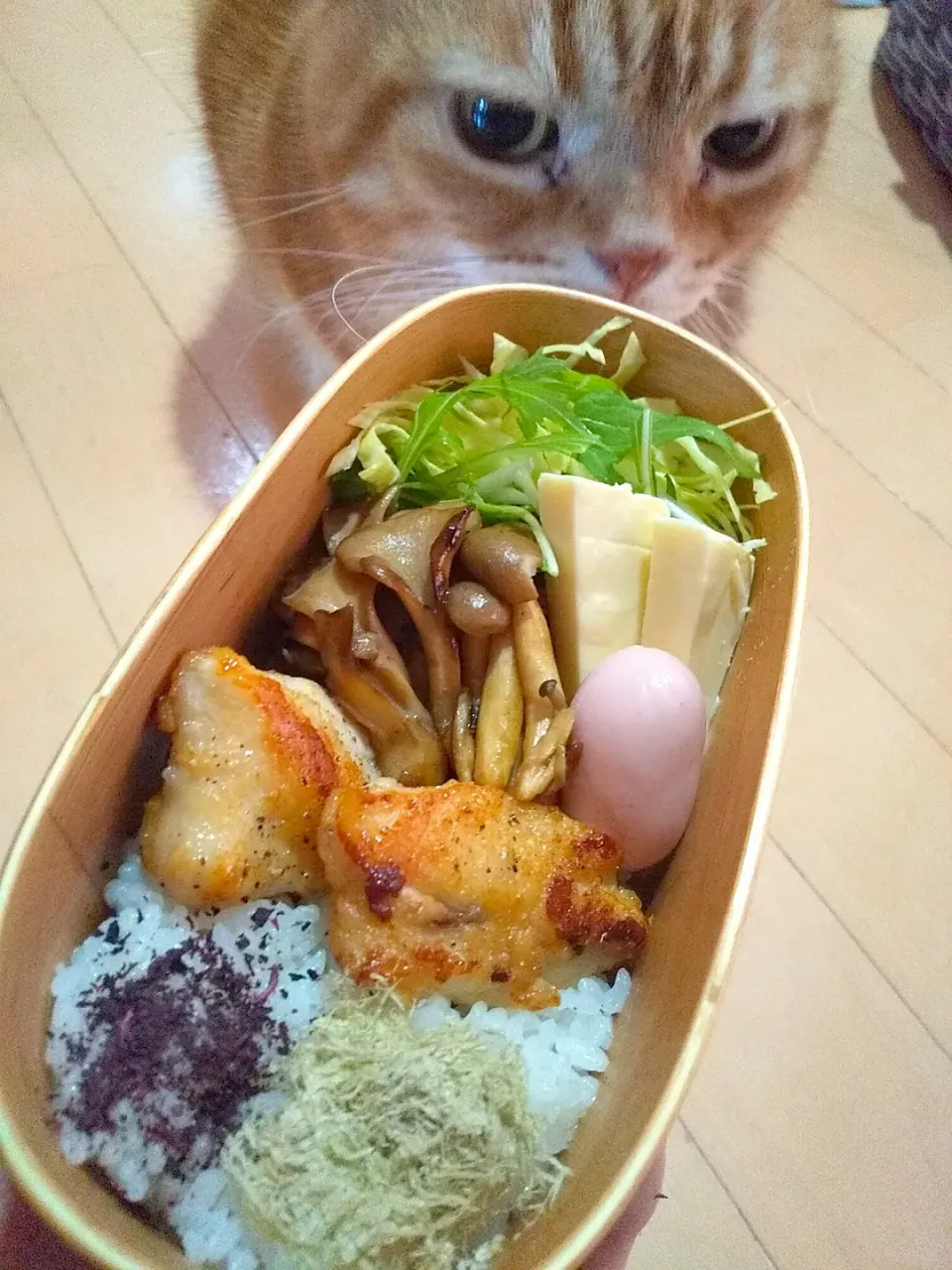 とり胸肉のお弁当😸|さくらんぼさん