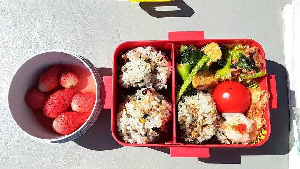 3月6日|maimaipapaさん