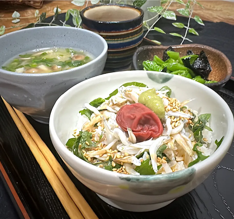 梅とわさびのしらす丼|くまちゃんさん