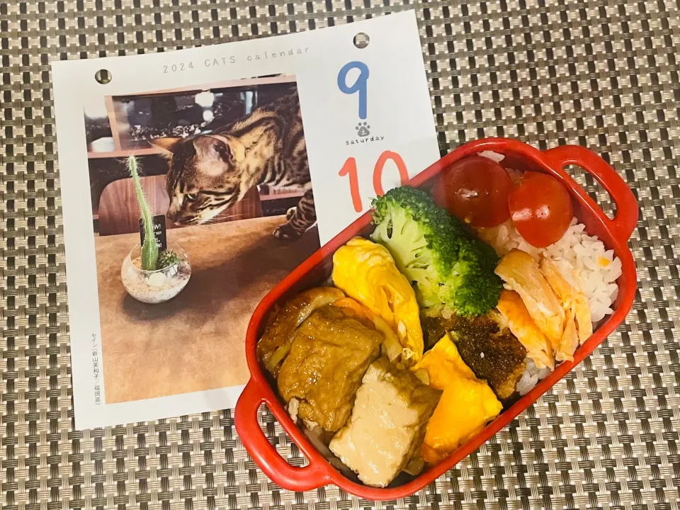 Snapdishの料理写真:20240309🍱今日の自分弁当🍱|akiyo22さん