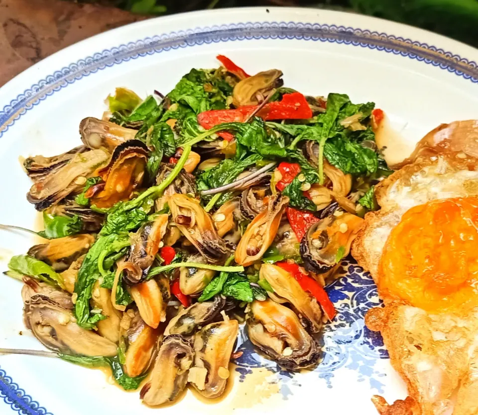 ผัดกะเพราหอยแมลงภู่
Stir-fried spicy basil with mussels|🌿Veerapan Mu🌿さん