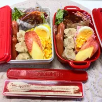 Snapdishの料理写真:❊お弁当❊|Kumiさん