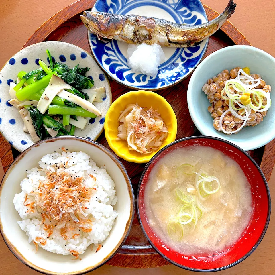 丸干し鰯の朝定食|Hiromi Isonagaさん