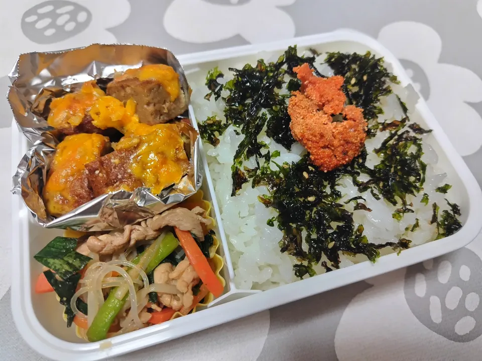 Snapdishの料理写真:お弁当|Y－Mさん