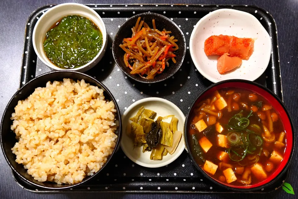 今日の朝ごはん（玄米ごはん（石川県珠洲市産コシヒカリ）、辛子明太子（やまやのどっから）、きんぴらごぼう、めかぶポン酢、赤だしのなめこ汁、高菜漬）|Mars＠釜飯作り研究中さん