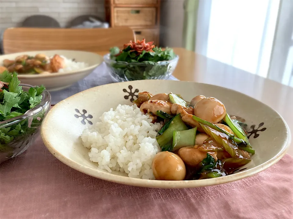 Snapdishの料理写真:＊鶏胸肉と香味野菜の中華炒め丼＊|＊抹茶＊さん