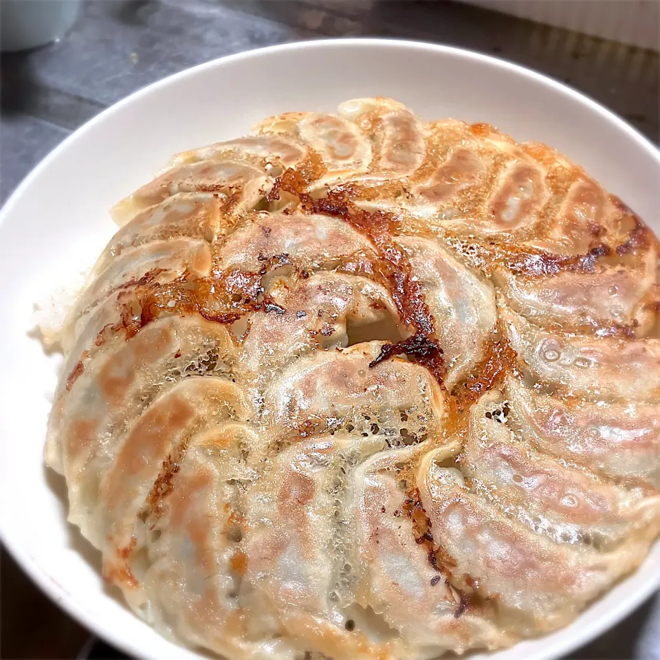 今夜は、パリパリ黒豚餃子飯を頂きました😋👍🎉|ギムレットさん