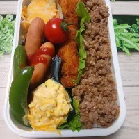 今日のお弁当🍱|クータンさん