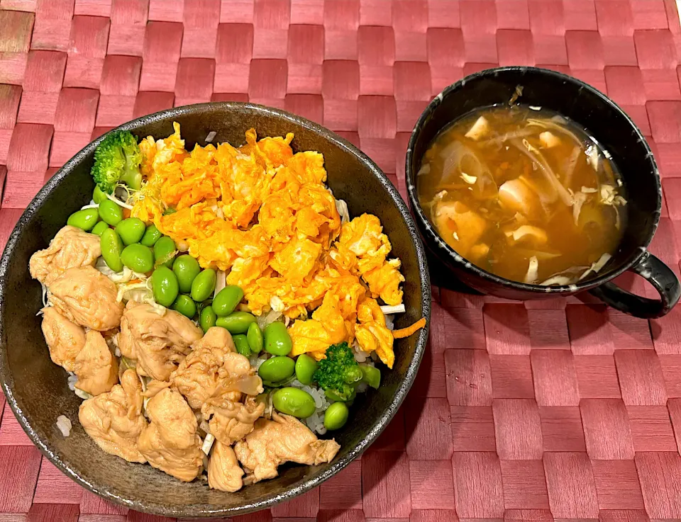 Snapdishの料理写真:中学生息子のお昼ご飯🍚 鶏ささみとそぼろ玉子三色丼🥚🍚|Snow10さん