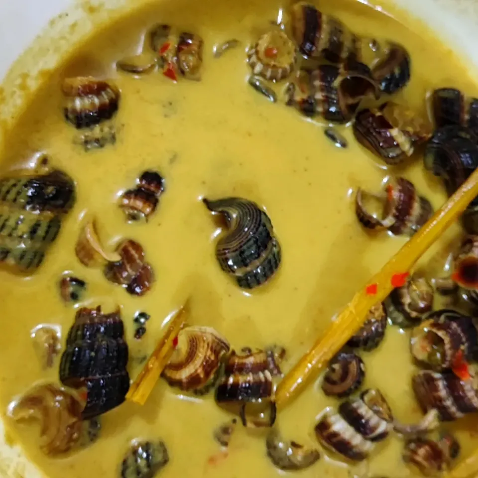 Masak Lemak siput sedut|simatasepetさん