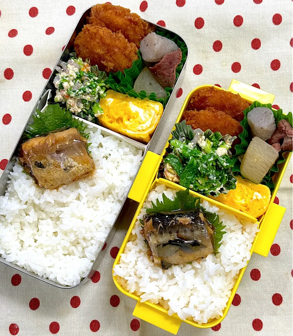 3月15日 久々弁当🍱|sakuramochiさん