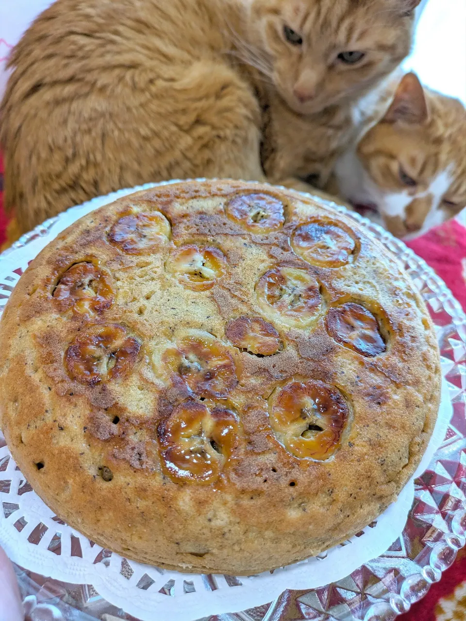 Snapdishの料理写真:☕炊飯器でバナナ紅茶ケーキ🍌|M子⁽⁽ ◟(∗ ˊωˋ ∗)◞ ⁾⁾さん