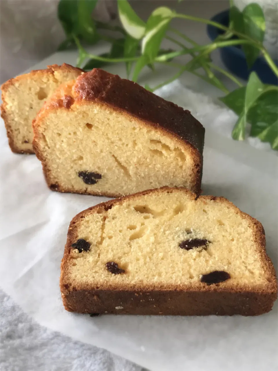 レモンレーズンブレッド　Lemon Raisin Bread|Abbeyさん