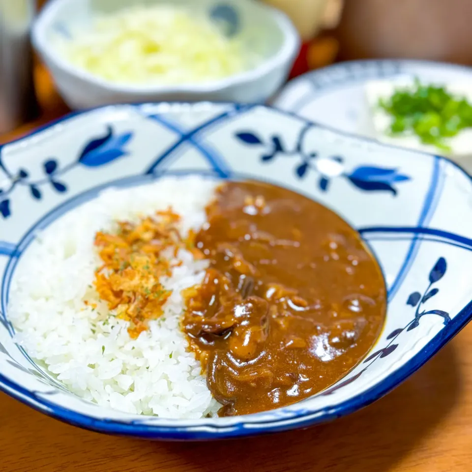 【欧風デミカレー】|ristorante_sallyさん