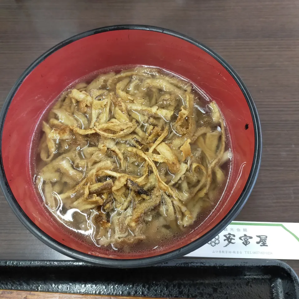 山口県の秋芳洞の後に食べた、御当地の美祢のゴボウうどん|フージさん