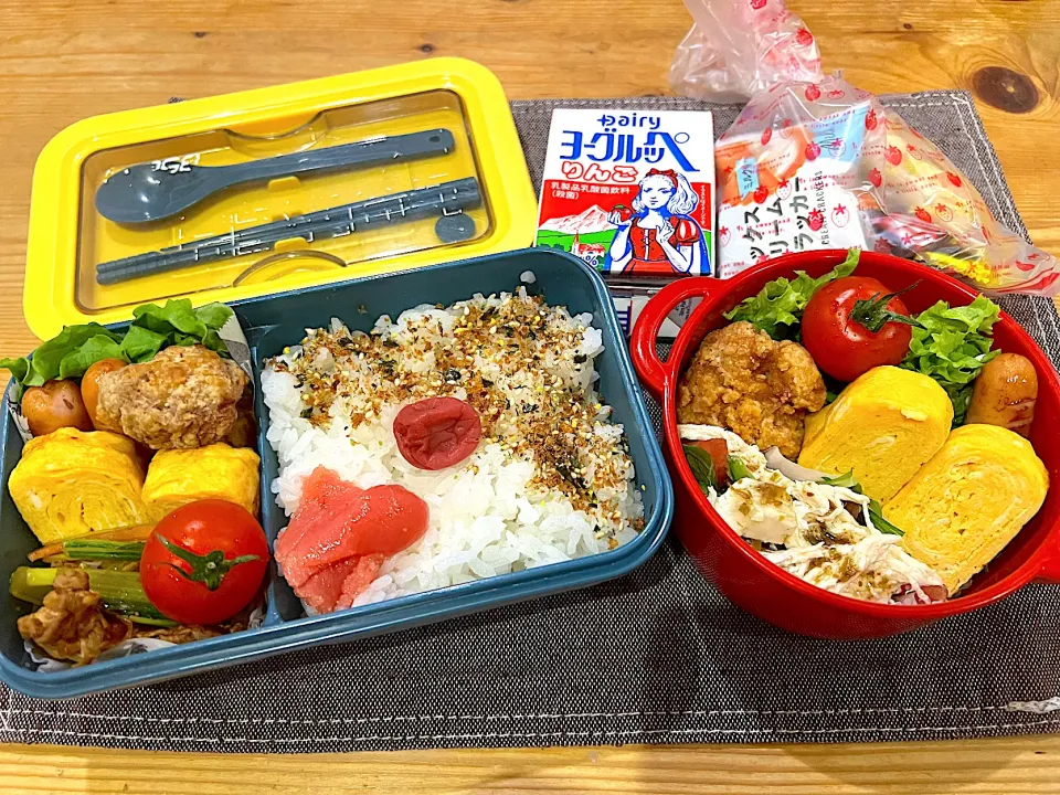 今日のヤツのお弁当（R6.3.19）|え〜かさん