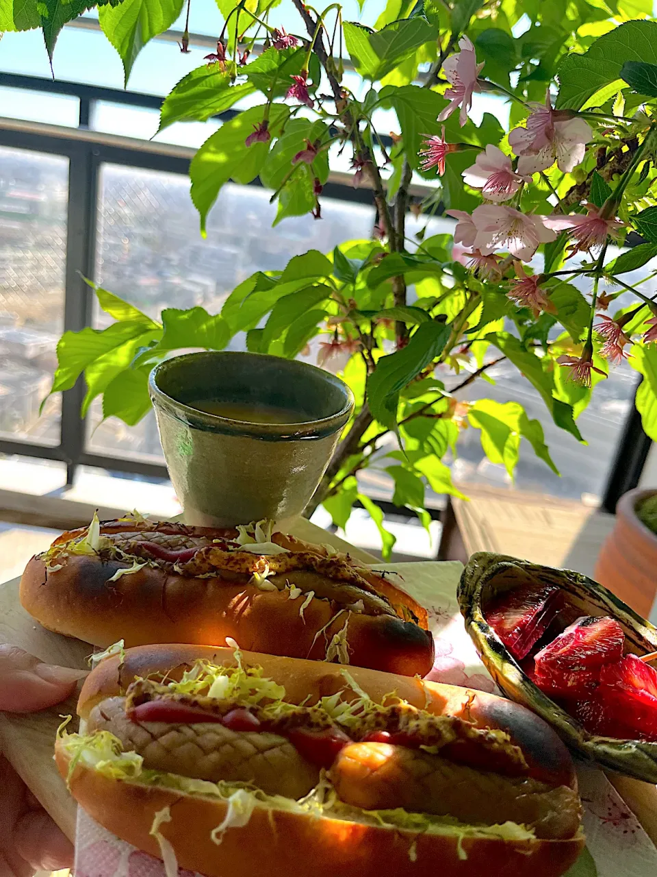 我が家の桜…ホットドックとブラッドオレンジ|izunさん