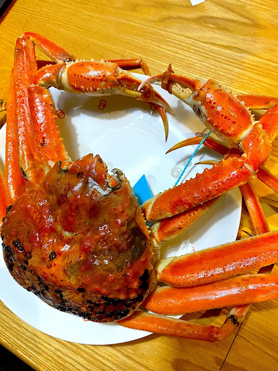 食べ納めの加能ガニ🦀〜デカ‼️|てるみさん