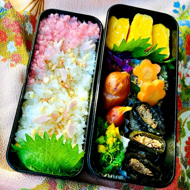 Snapdishの料理・レシピ写真:ソーセー人親子のお花見弁当｜お花見🌸桜🌸お弁当