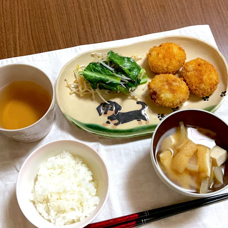 コロッケ　みそ汁　小松菜ともやしの炒め物|ももちゃんさん