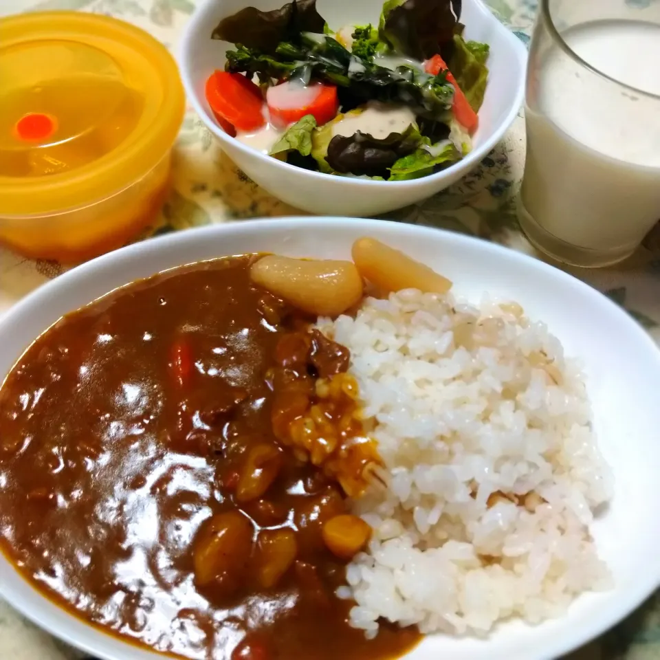 甘辛カレー|うたかた。さん