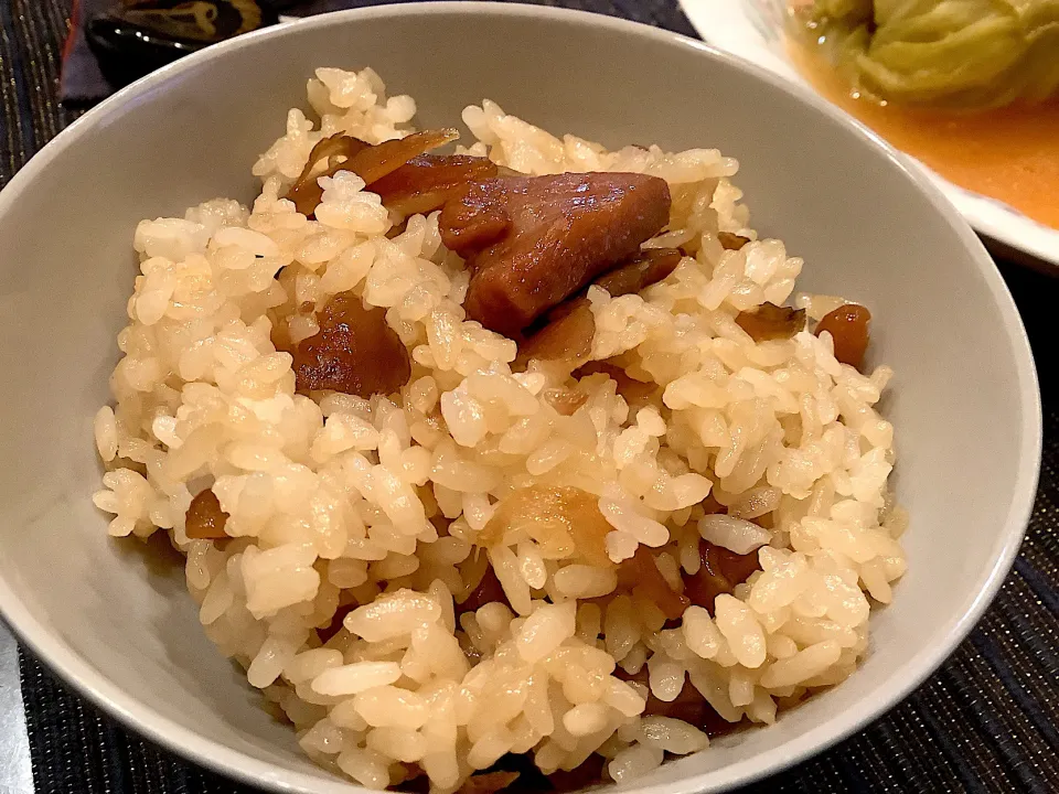 大分名物鶏めし😋|アライさんさん