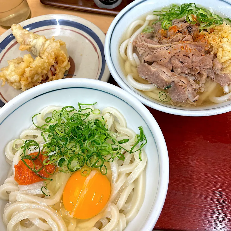 Snapdishの料理写真:明太釜たま(小)と肉うどん(小)といか下足@岡じま(高松築港)|塩豚骨さん