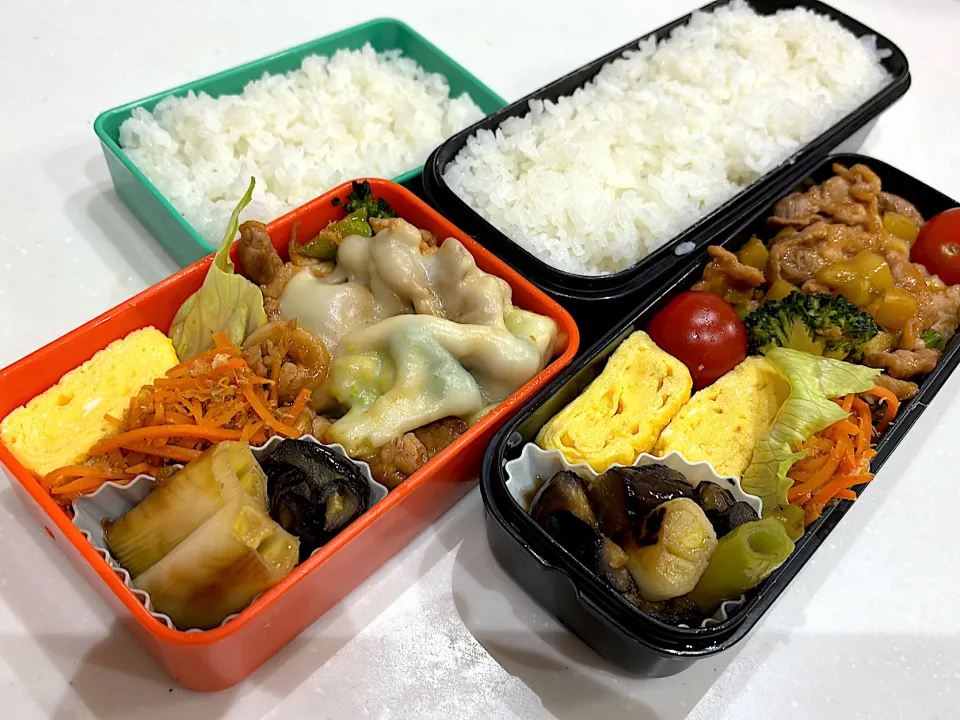 今日のお弁当|もいもいさん