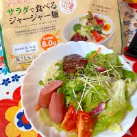 Snapdishの料理写真:サラダで食べるジャージャー麺|エミポンさん