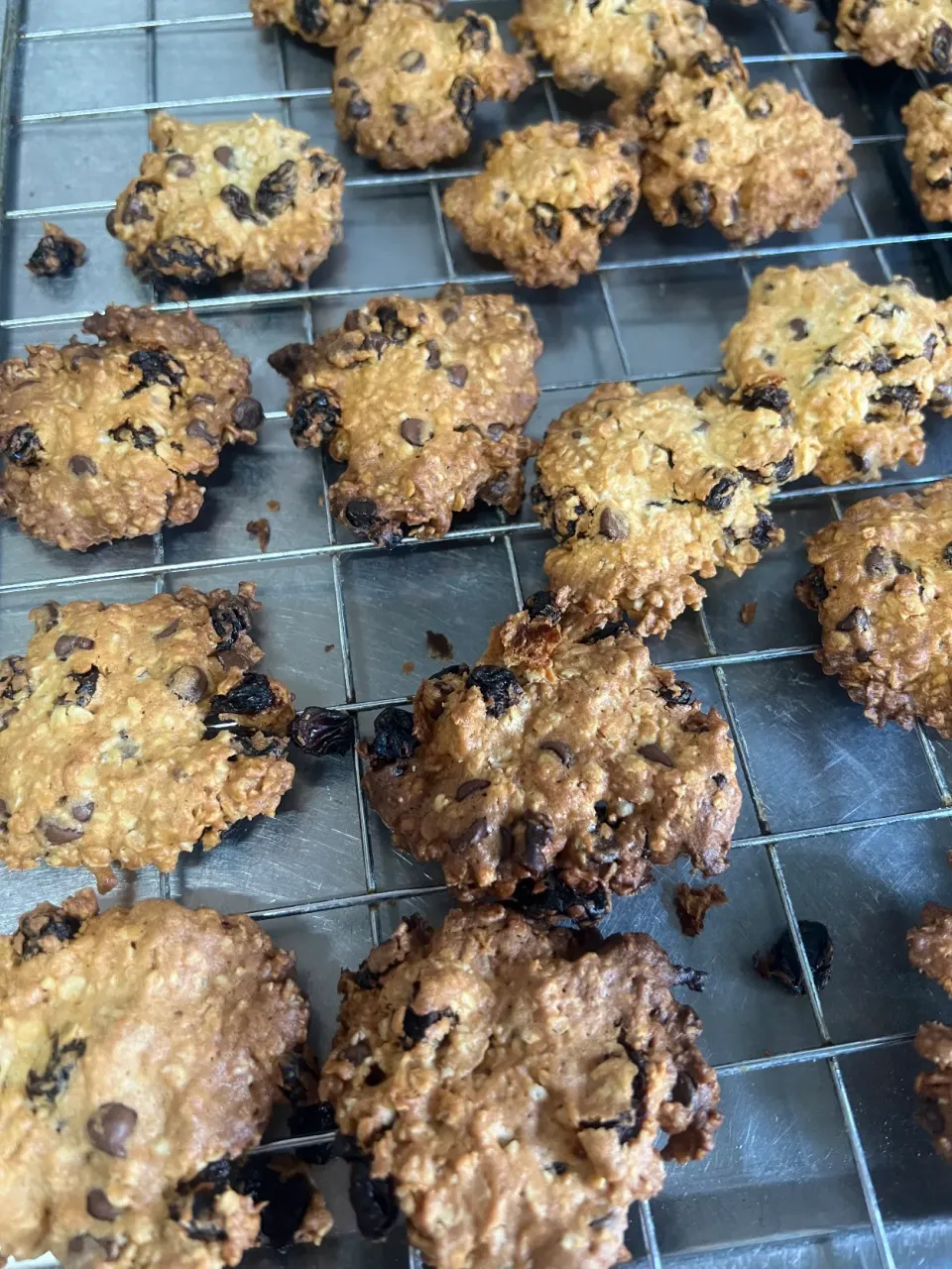 オートミールクッキー🍪|TOMOさん