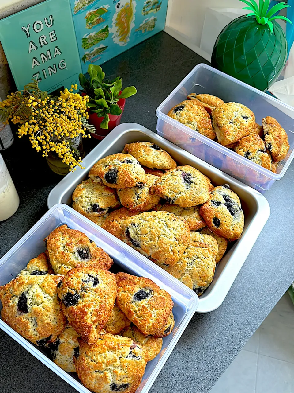 Blueberry scones|chidinma emmanuelさん