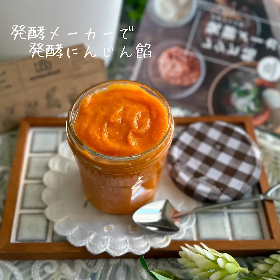 Snapdishの料理写真:発酵メーカーで発酵にんじん餡🥕|kononon♡*゜さん