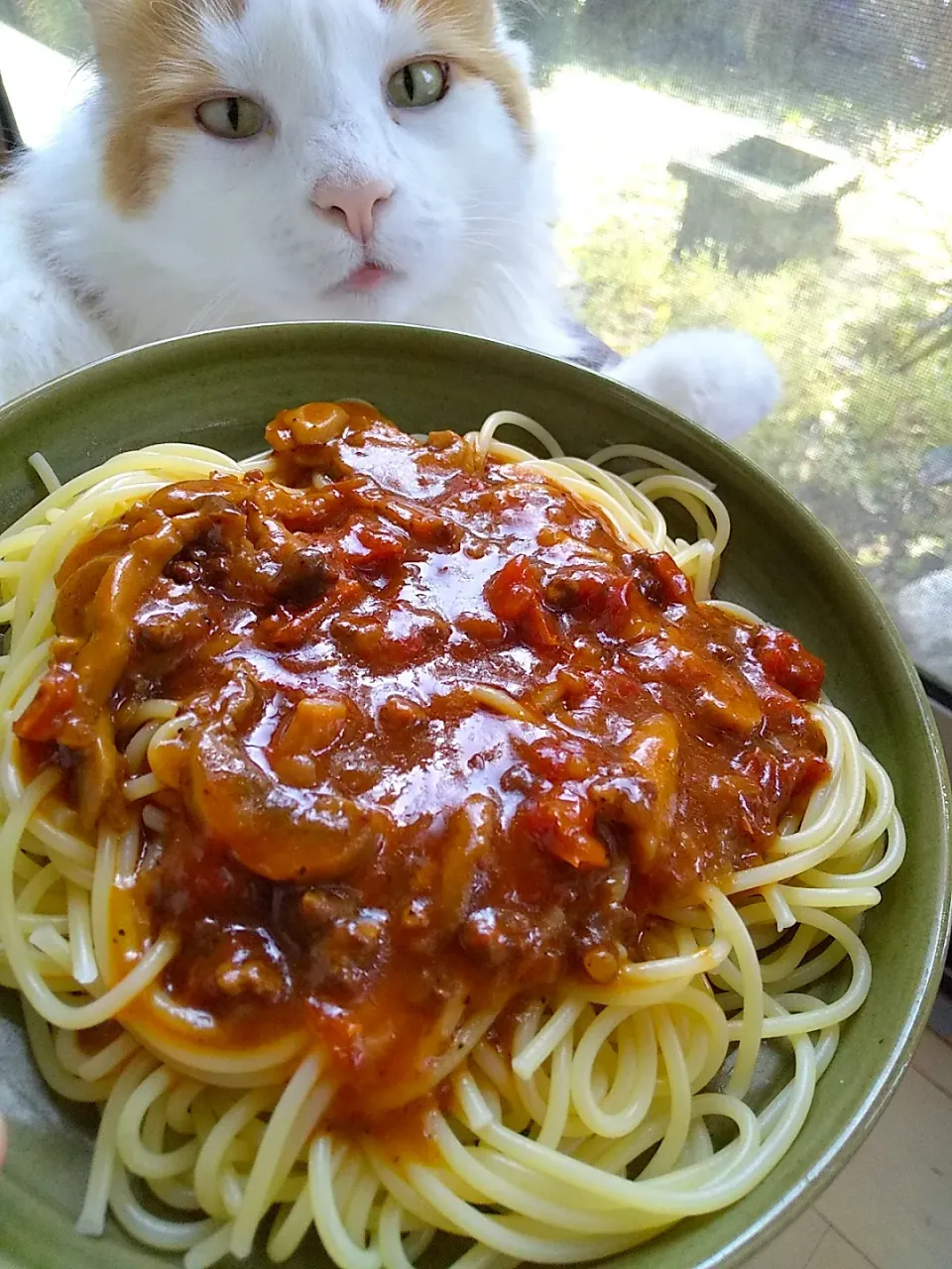 ボロネーゼお昼ごはん🍝
成城石井のソースは具だくさんでした♪|さくらんぼさん