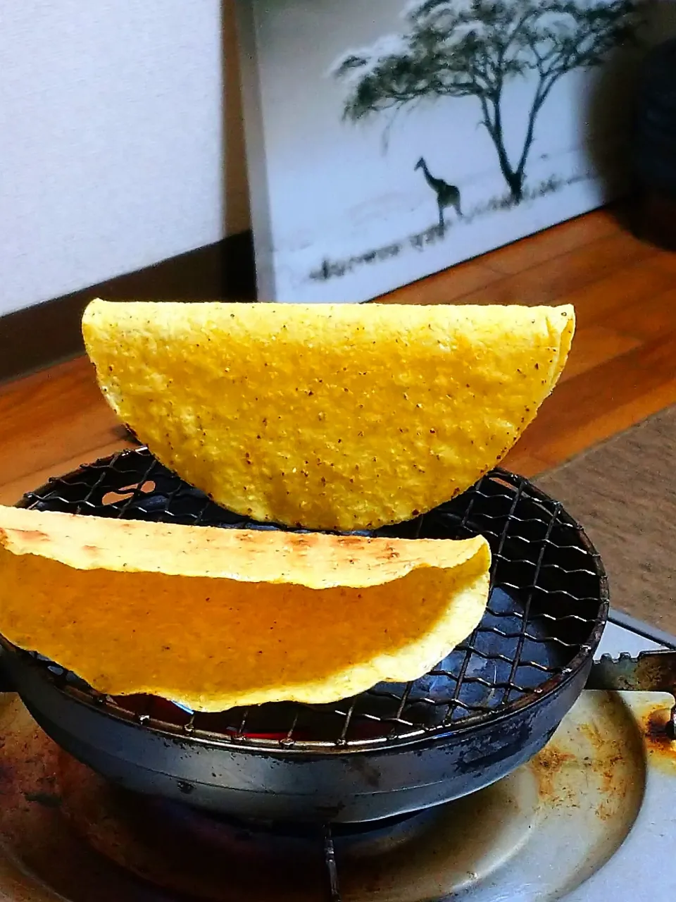 タコス🌮|ここさん