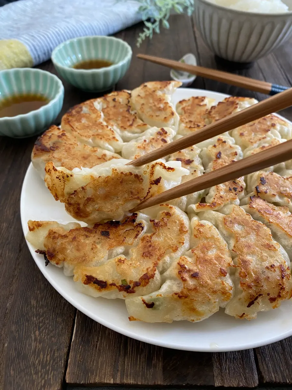 春キャベツたっぷり焼き餃子|ちぐあささん