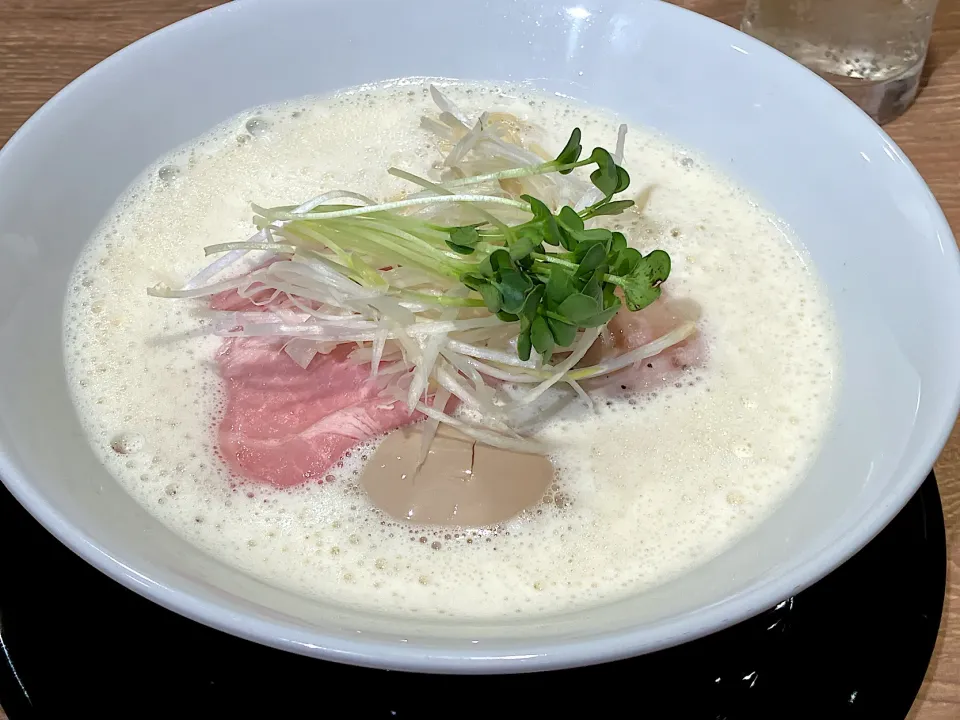 鶏白湯ラーメン味玉のせ|しのぶさん