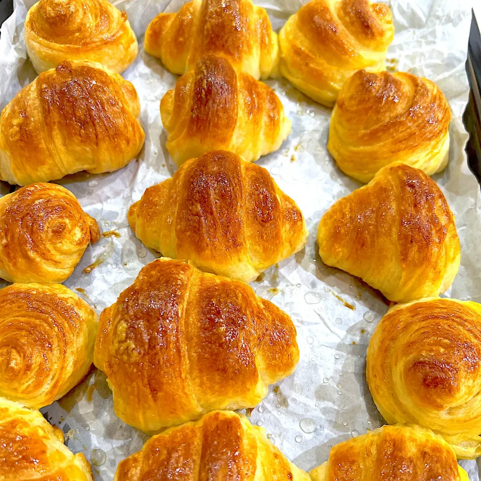 クロワッサン🥐💜|こりなさん