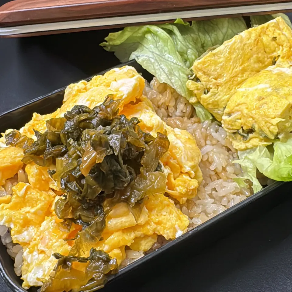 【簡単弁当！】卵とろとろ！シャキシャキ高菜！美味しすぎてびっくり！高菜チャーハン弁当！|テリチョモさん